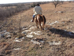 2008trailride151.JPG