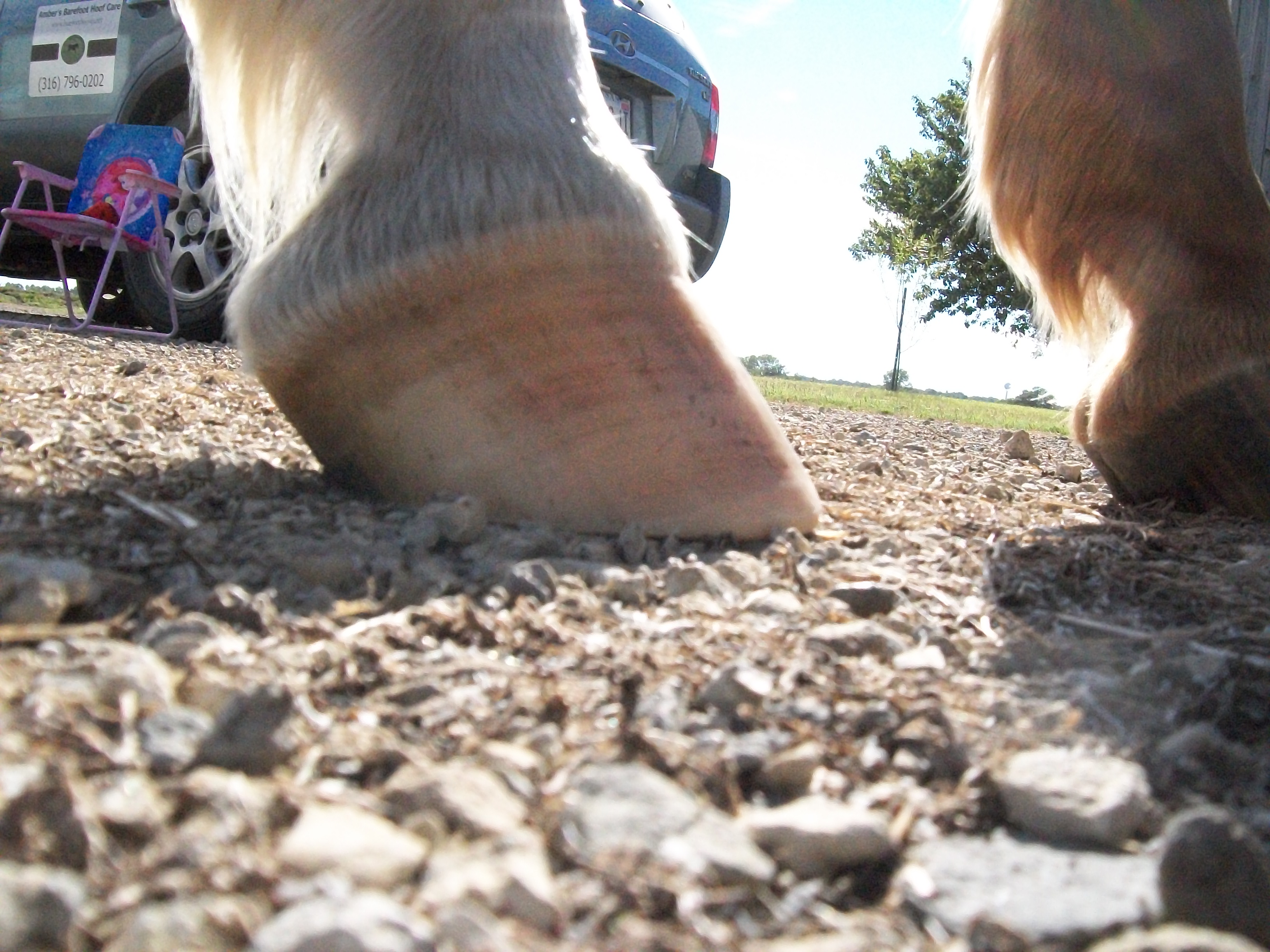 Duke's front foot