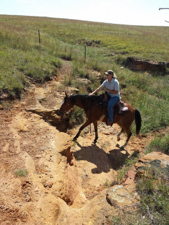 Horse and Rider climbing rocky trail
