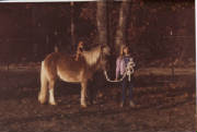 Amber with first pony
