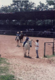 Winning yet another Walk Trot Class