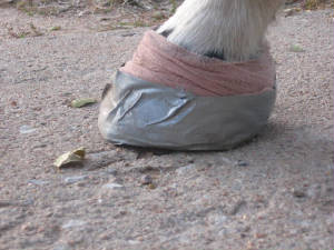 Finished hoof bandage